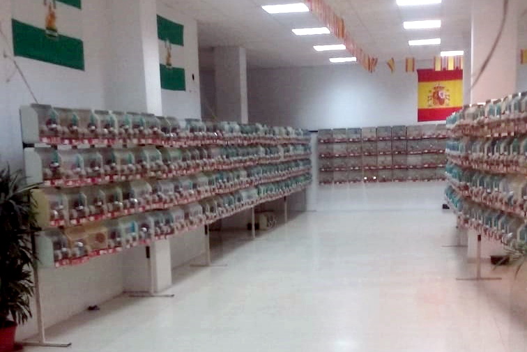 El XXXII Concurso Ornitolgico Ciudad de Almucar expone a 1350 ejemplares de 97 criadores andaluces.